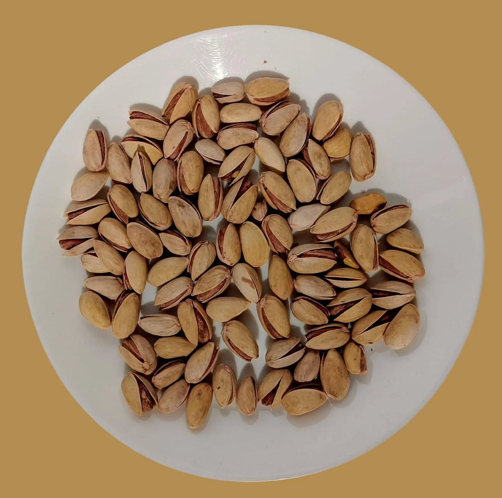 Salted Pista -min